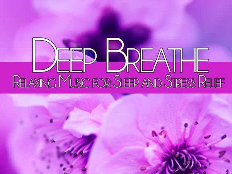 Deep Breathe: Relaxing Music for Sleep and Stress Relief (Single)