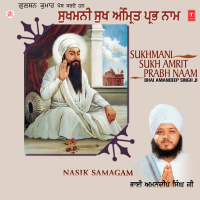Sukhmani Sukh Amrit Prabh Naam Vol-51 (Single)