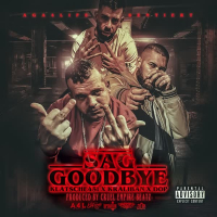 Sag Goodbye (Single)