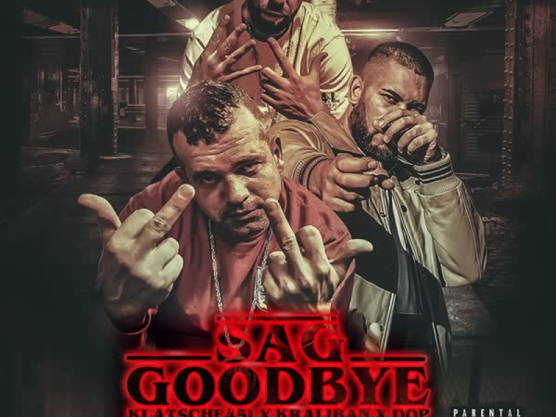 Sag Goodbye (Single)