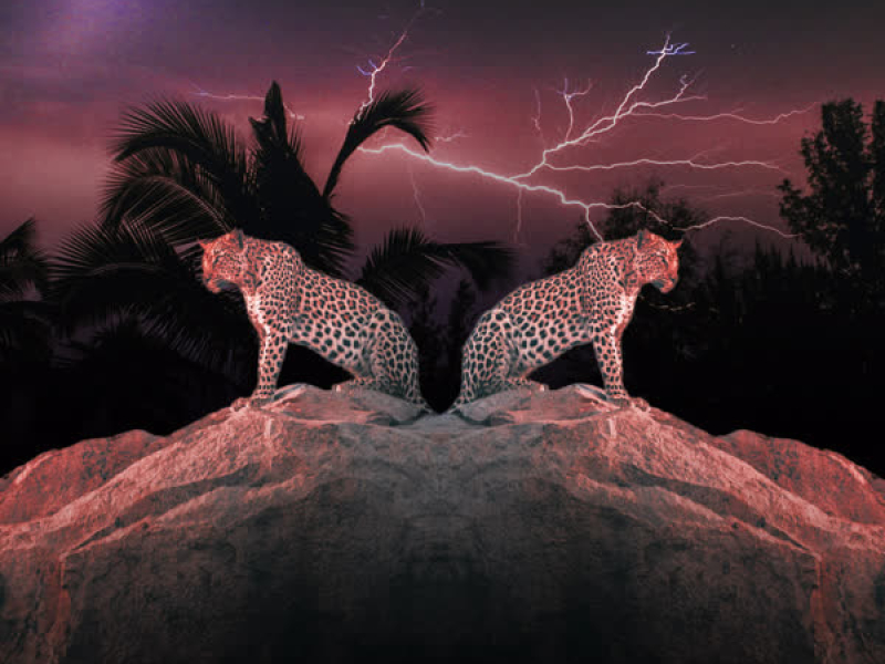 We Go Dance (Single)