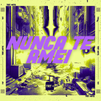 NUNCA TE AMEI (Single)