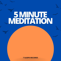 5 Minutes Of Sunset Waves (Single)