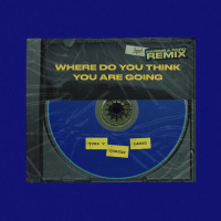Where Do You Think You Are Going (Harris & Ford Remix) (Single)