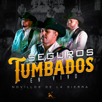 Seguros Tumbado (Single)