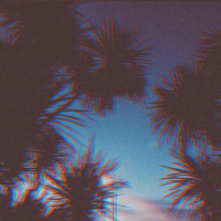 Sitting on the sunset (Single)