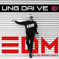 The Unfinished Project EDM (Single)