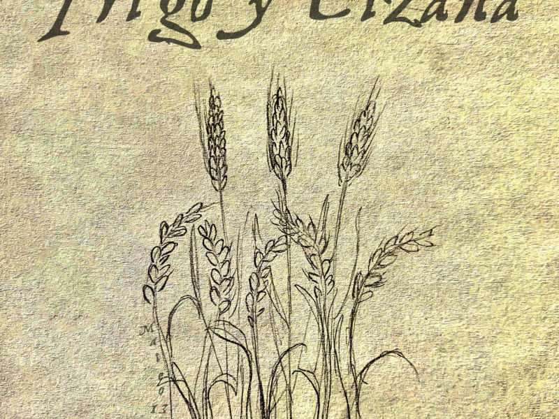 Trigo y Cizaña (Single)