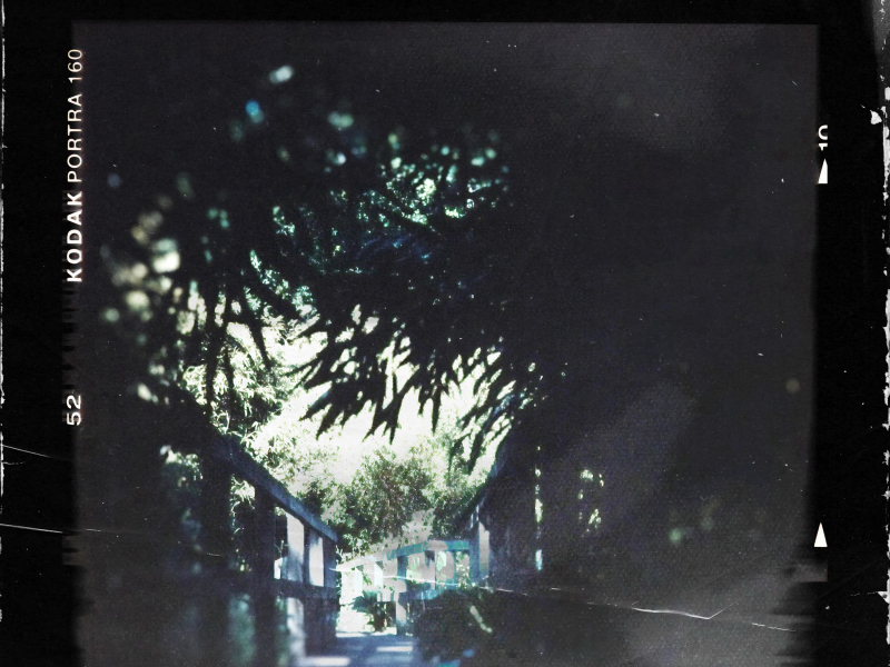 please don't tell (Single)