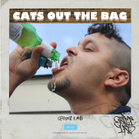 Cats Out the Bag (Single)