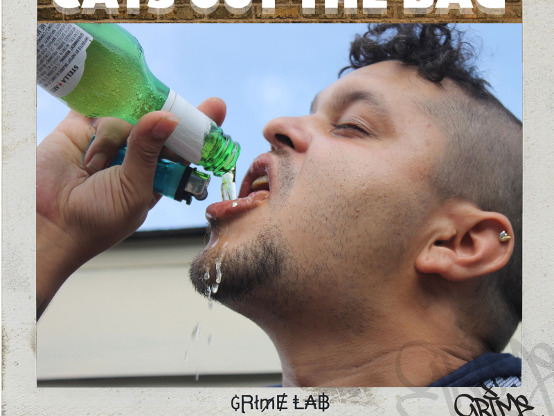 Cats Out the Bag (Single)