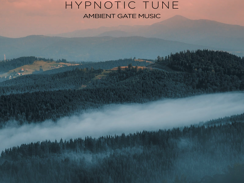 Hypnotic Tune (Single)