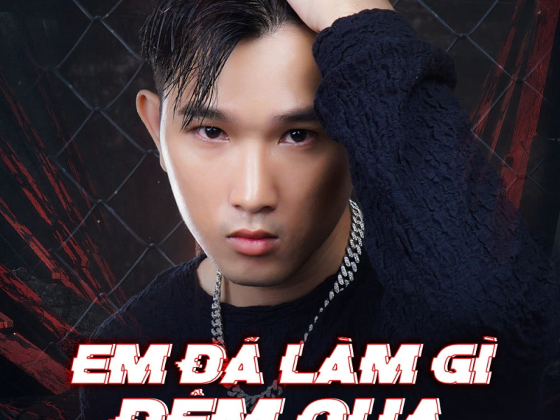 Em Đã Làm Gì Đêm Qua (Single)