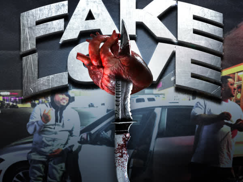 Fake Love (Single)