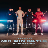 Ikk Min Skyld (Single)