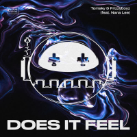 Does It Feel (Single)