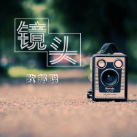 镜头 (Single)