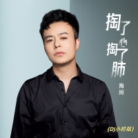 掏了心掏了肺 (Dj小拾版) (Single)