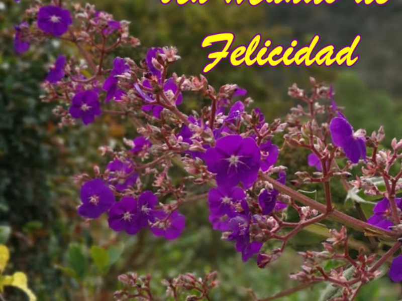 Un Mundo de Felicidad