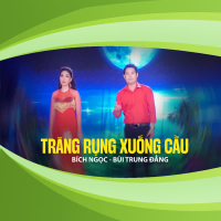 Trăng Rụng Xuống Cầu (Single)