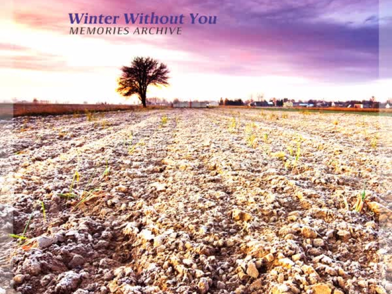 Winter Without You (Single)
