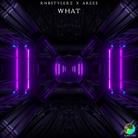 WHAT (Extended Mix) (Single)