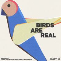 Birds Are Real (Single)