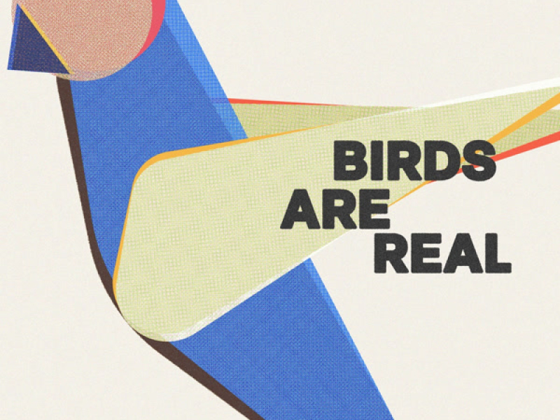 Birds Are Real (Single)