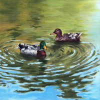 Can't Stop / Boogie In Your Butt (Single)