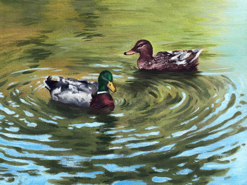 Can't Stop / Boogie In Your Butt (Single)