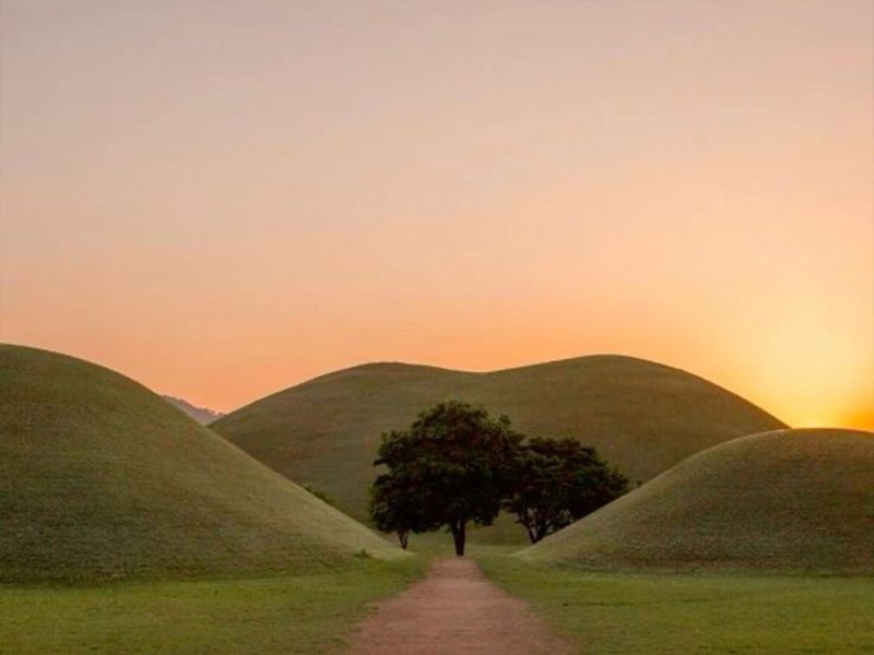 destination (Single)