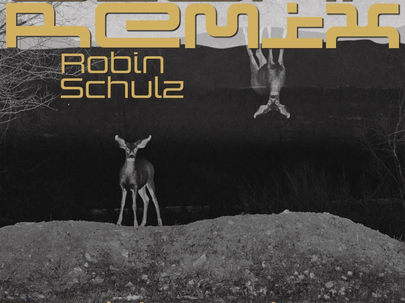 Giant (Robin Schulz Remix)