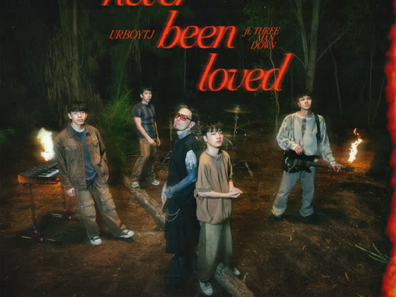 ไม่เคยถูกรัก (never been loved) (Single)