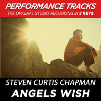 Angels Wish (Performance Tracks) (Single)