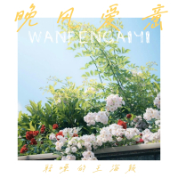 晚风爱意 (Single)