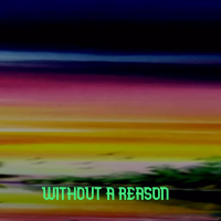 Without a Reason