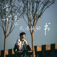 青春是本太仓促的书 (Single)
