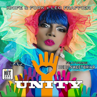 Unity - The Maxi-Single