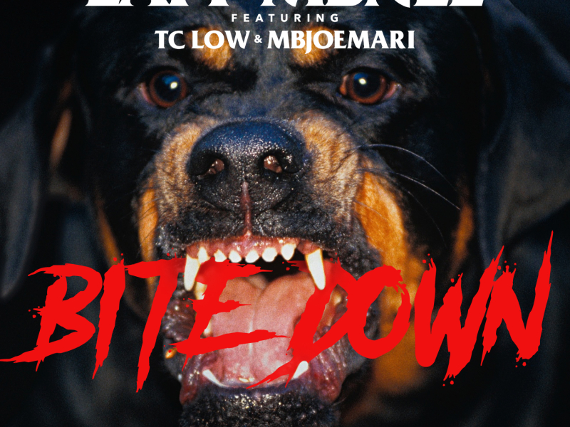 Bite Down (feat. TC Low & Mbjoemari)