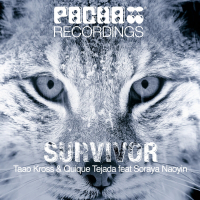 Survivor (Single)