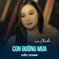 Con Đường Mưa (Disco) (Single)