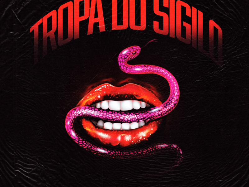 Tropa do Sigilo (Single)