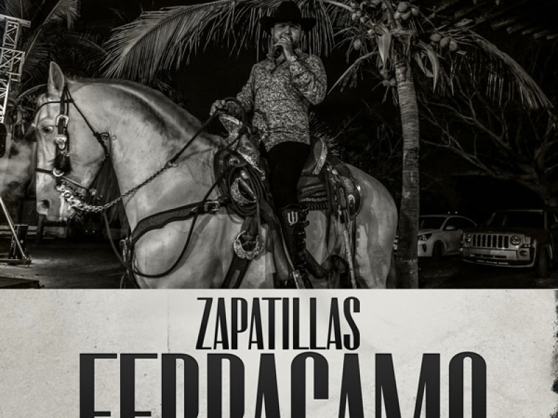 Zapatillas Ferragamo (Single)