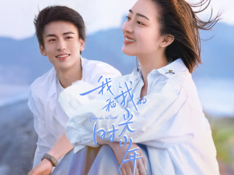 我和我的时光少年 网剧影视原声专辑