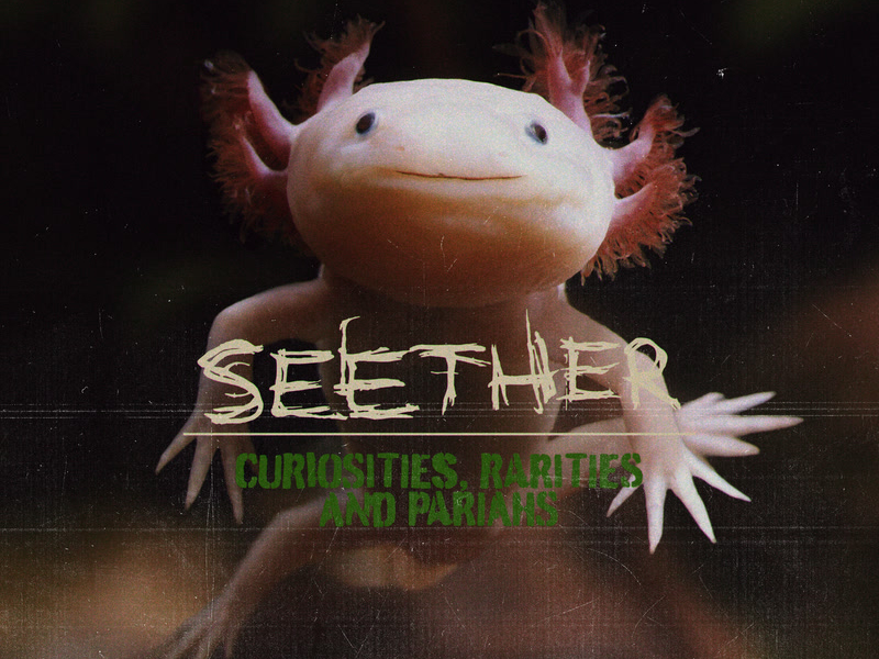 Curiosities, Rarities And Pariahs