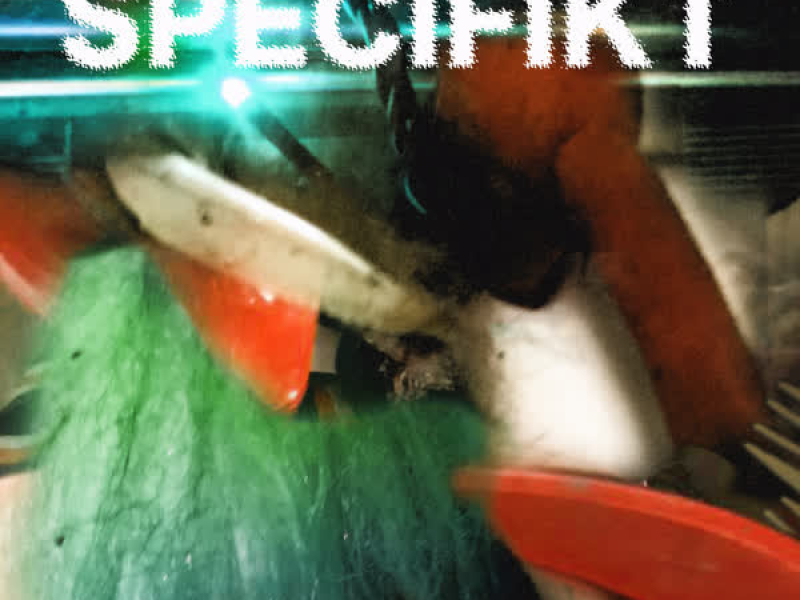 SPECIFIKT (EP)