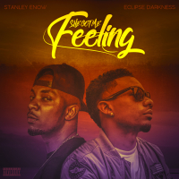 She Got Me Feeling (feat. Stanley Enow) (Single)