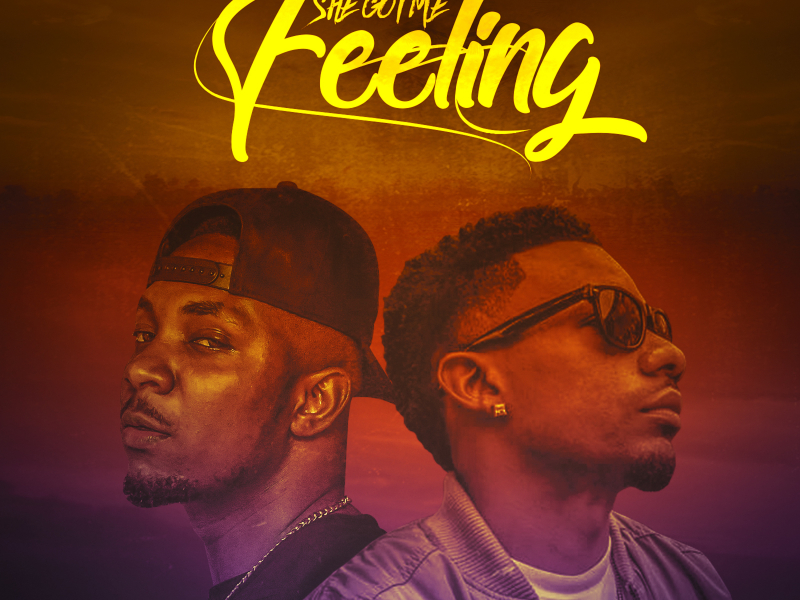 She Got Me Feeling (feat. Stanley Enow) (Single)
