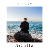 Nit allei (Single)