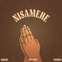 Nisamehe (Single)